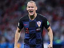 Матвиенко надеется, что ФИФА сделает «выводы» после инцидента с хорватом Видой