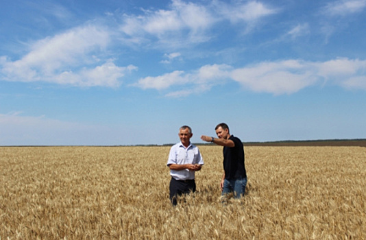 Свой опыт, свой путь: как наблюдательность помогла подобрать оптимальные агротехнические приемы фермеру из Красноармейского района