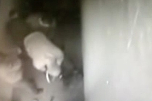 Россиянин подал в суд на МВД после видео с избиением до смерти брата в полиции