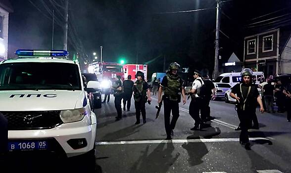 Один из дагестанских террористов был бойцом ММА и представлял клуб Хабиба Нурмагомедова. Что о нем известно?