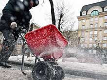 В Госдуме проверят противогололёдные реагенты на вредность