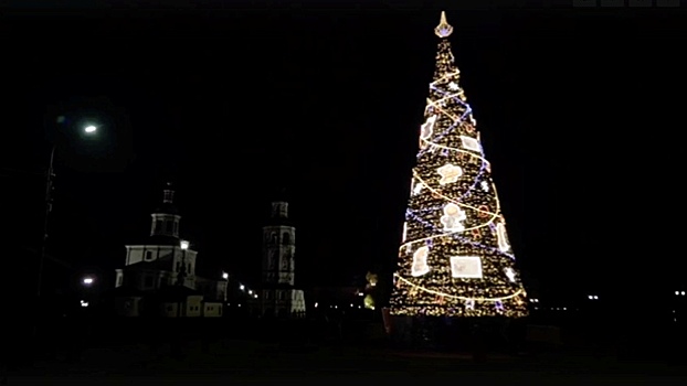 Первая в России новогодняя елка «зажглась» в Вологодской области 