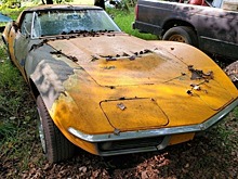 Лимитированный Chevrolet Corvette бросили гнить в лесу