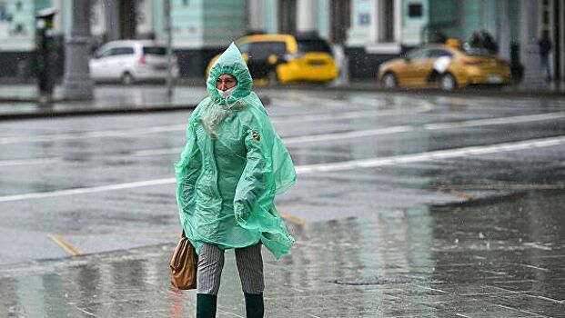 Москвичам назвали дату прихода климатической весны