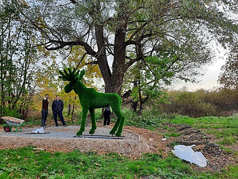 В Оленино появилась фигура лося