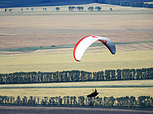 Греби отсюда