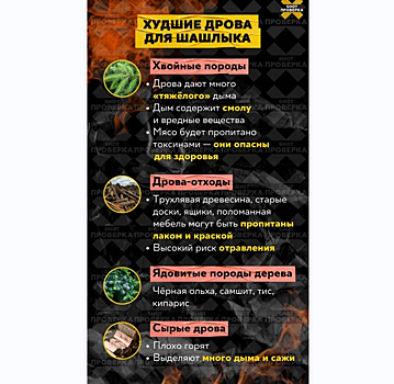 Специалисты из РФ заявили о риске отравиться токсинами при жарке шашлыков