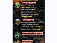 Специалисты из РФ заявили о риске отравиться токсинами при жарке шашлыков