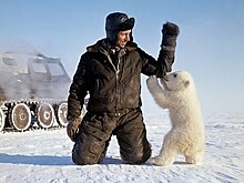 Почему США хотят отнять у России остров Врангеля
