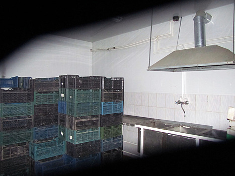 Более 4 тонн рыбы изъяли из подпольного цеха в Таганроге