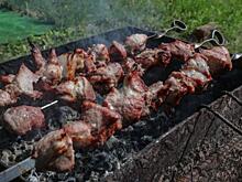 Врач Никифоров уточнил, в чем опасность недожаренного шашлыка