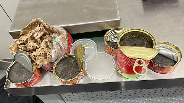 Таможенники в аэропорту Шереметьево изъяли у пассажира восемь банок с гашишем