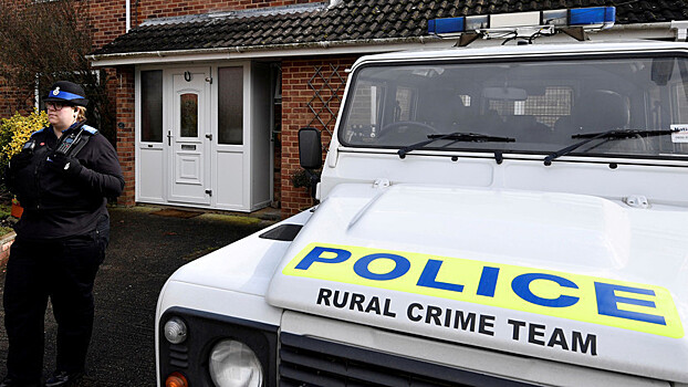 Заявления британского посла назвали фальшивкой