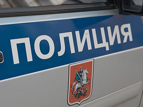 Московская полиция отказалась возбуждать дело на хулиганов, «защищавших Кадырова»
