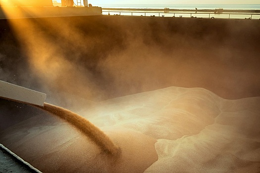 С начала июня Россия более чем вдвое увеличила экспорт зерна