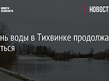 Уровень воды в Тихвинке продолжает снижаться