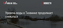 Уровень воды в Тихвинке продолжает снижаться