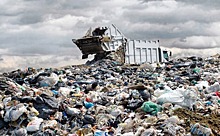 Варшава и Берлин начали экологическую войну из-за мусора