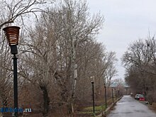 Опубликован прогноз погоды в Пензенской области на выходные