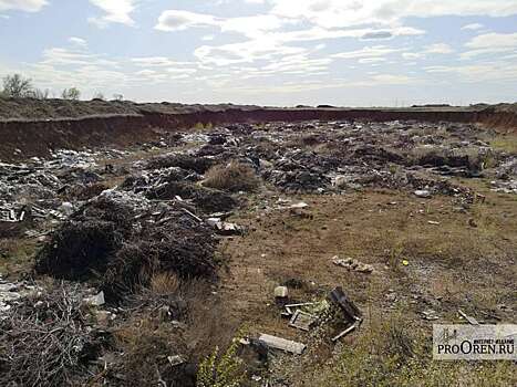 В Минприроды Оренбуржья чаще всего жалуются на мусор и неприятный запах