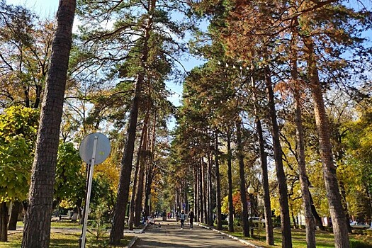 Пять городов Кубани выиграли почти полмиллиарда рублей на благоустройство
