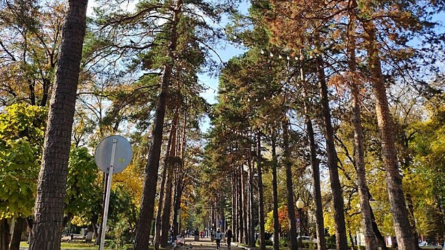 Пять городов Кубани выиграли почти полмиллиарда рублей на благоустройство