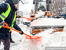 Климатолог рассказала о токсичных снежных сугробах в городах