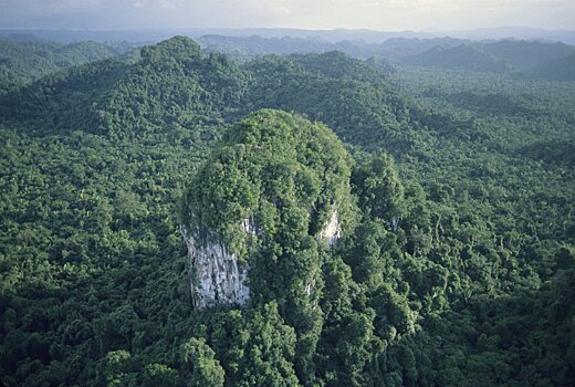 «Какая-то домашняя». Россиянин описал одну из самых криминальных стран мира