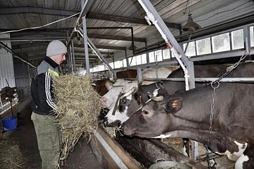 Свердловские фермеры: законопроект о сбыте сельхозпродукции поможет агротуризму