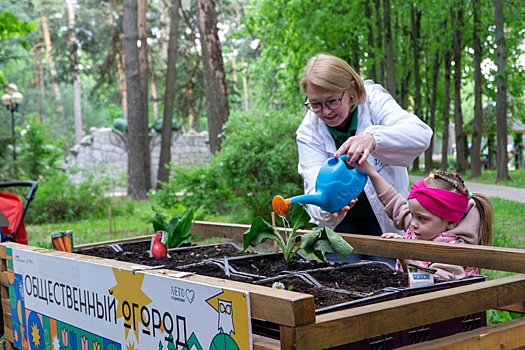 В подмосковных парках вновь открылись общественные огороды