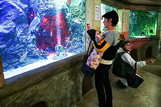 Пострадавшему при шторме Севастопольскому аквариуму подарили 500 рыб