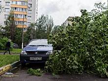 Выросло число раненых ураганом в Москве