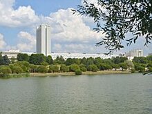 Шестнадцать помещений под ведение бизнеса сдадут в аренду в семи округах столицы
