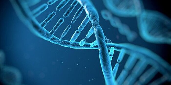 Ученые доказали связь 16 новых генов с рисками развития аутизма