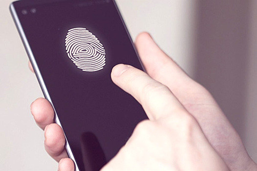 В предоставлении гражданам услуг на основе биометрии возникли проблемы