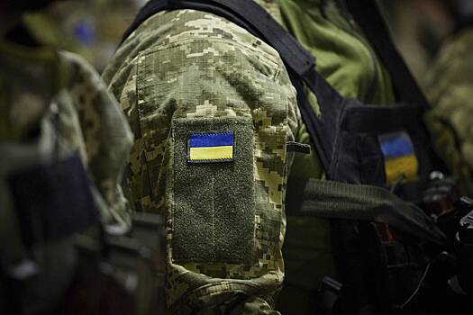 Политолог рассказал о планах Киева набрать армию из бежавших в Европу украинцев