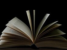 5 книг, которые написали звезды Голливуда
