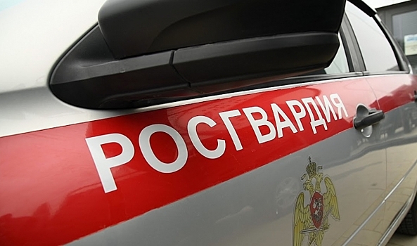 Под Волгоградом двое мужчин похитили елочные игрушки и одежду