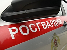 Под Волгоградом двое мужчин похитили елочные игрушки и одежду