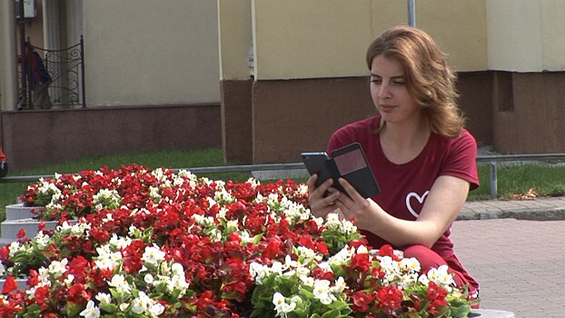 Хоста, астильба и лилейник: в Черняховске будет высажено 19 тысяч цветов
