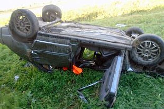 Рязанец за рулем ВАЗ вылетел на скорости в кювет и погиб