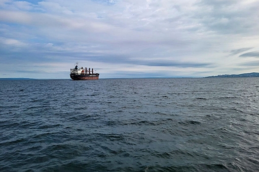 У экс-чиновника камчатского правительства забрали порт и имущество на 31 миллиард рублей