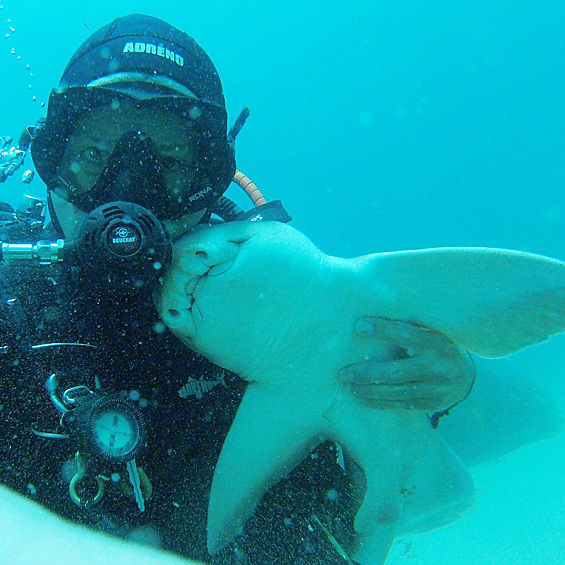 Дайвер Рик Андерсон, живущий в австралийском городе Порт-Маккуори, подружился с акулой, которая позволяет обнимать себя