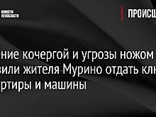 Избиение кочергой и угрозы ножом заставили жителя Мурино отдать ключи от квартиры и машины