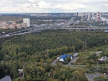 Ландшафтный заказник «Химкинский» взят под охрану государства
