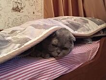 В Омске в этом году был рекордно длинный отопительный сезон