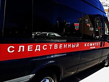 Россиянка раскидала по селу личные снимки соперницы и попала под следствие