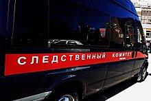 Российский пенсионер выстрелил в машину и ранил двоих подростков