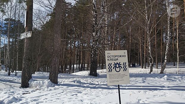 На обработку лесов и рекреационных зон в Ижевске от клещей планируют выделить полмиллиона рублей