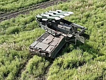 Экипаж российского "Бука" рассказал о собаке, которая помогает обнаруживать цели